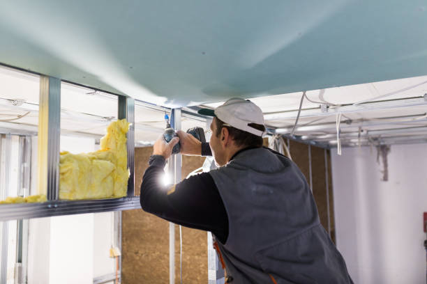Best Insulation Maintenance and Repair in Shallowater, TX