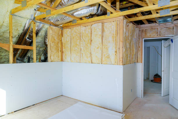 Best Eco-Friendly Insulation in Shallowater, TX