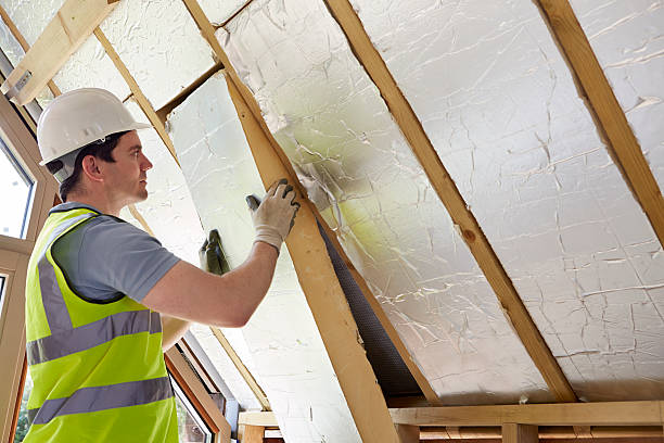Best DIY Insulation Kits and Guidance in Shallowater, TX